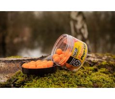 SOLAR Fluoro Quench Pop-Ups