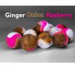 LK Baits POP Smoothie Ginger/Onion/Raspberry