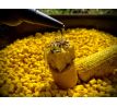 LK Baits Kukuřičné Pelety Corn Pellets 1kg - VÝPRODEJ !!!