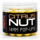 Munch Baits Citrus Nut Pop-Ups 200ml