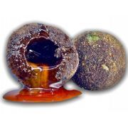 Nutrigo Balance 2022 Nutrigo Balance 2022