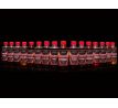 Sportcarp Booster 250ml - Chilli Fruit (chilli-ovoce)