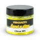 Mikbaits Červi v dipu 50ml - Citrus WS