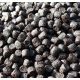 Pstruhové Pelety Extra Premium s Astaxantinem - 6mm