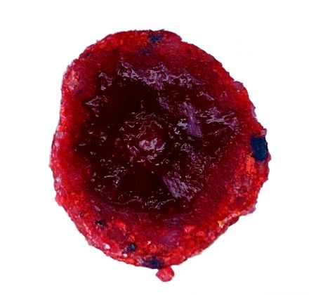 LK Baits CUC! RAISIN Lesní Jahoda 50g
