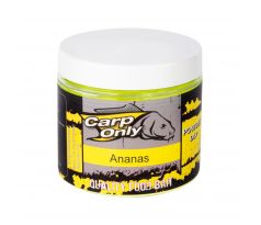 Carp Only DIP Práškový 100gr - ANANAS