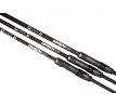 Giants fishing Prut Deluxe BX Carp 10ft 3.25lb 2pc