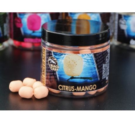 Black Carp Balanced Activ Boilie CITRUS - MANGO 14mm 90gr