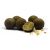 Munch Baits Bio Marine Boilies 1kg - VÝPRODEJ