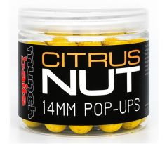 Munch Baits Citrus Nut Pop-Ups 200ml