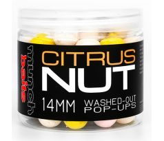 Munch Baits Citrus Nut Washed Out Pop-Ups 200ml