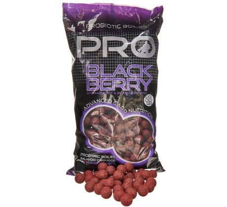 Starbaits Boilies - Probiotic Pro Blackberry (Ostružina)