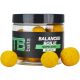 TB Baits Vyvážené Boilie Balanced + Atraktor Scopex Squid 100 g 20-24 mm