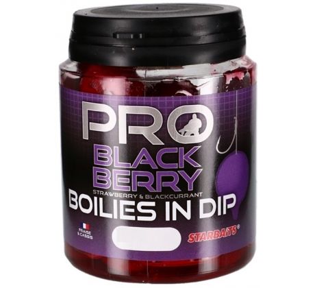 Starbaits Boilies in Dip Pro Blackberry 150g