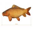 Plyšový kapr Delphin CARPY