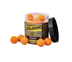 Carp Servis Václavík Boilies Balanc PIKANTER