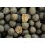 LK Baits Top ReStart Boilies - Sea Food